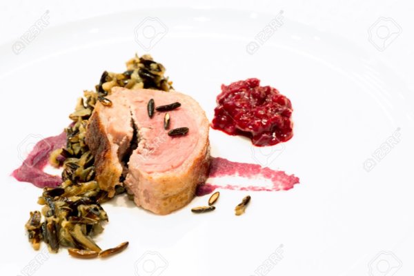 22419920-gourmet-ballotine-of-goose-steak-serve-with-rice-and-cherry-sauce-stock-photo
